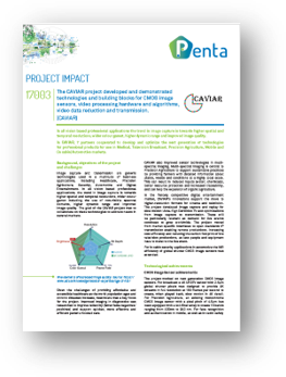 Project impact pdf