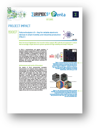 Project impact pdf