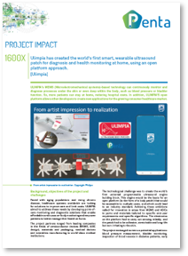 Project impact pdf