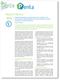 Project profile pdf