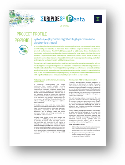 Project profile pdf